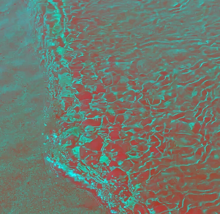 Shallow Waters | Dramatic